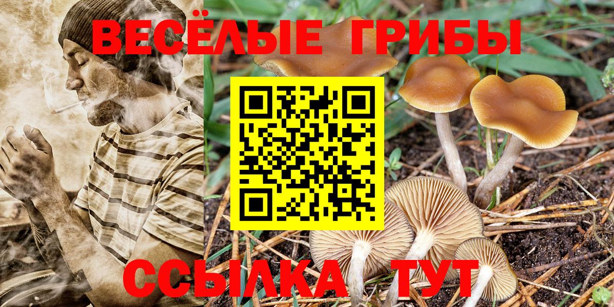 Муром  Галлюциногенные грибы MAGIC MUSHROOMS  Вход с VPN 